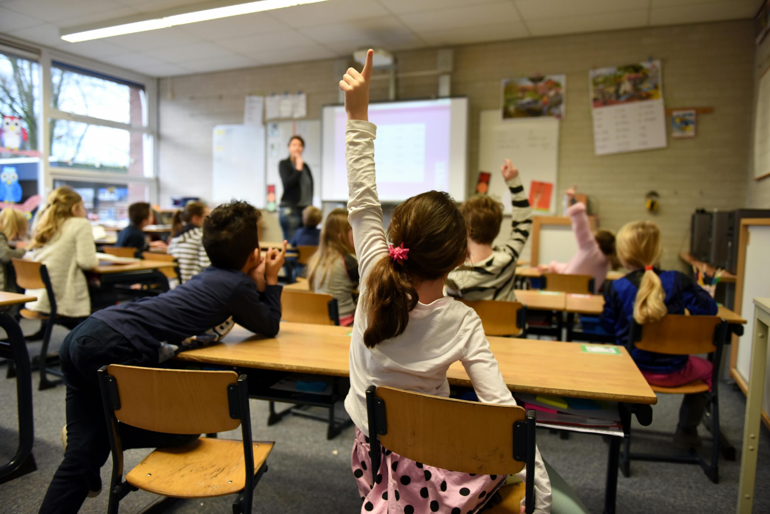 L&rsquo;éducation, clé de la transition climatique