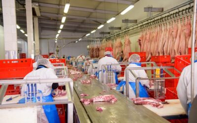 Impact de la consommation de viande rouge et transformée sur les emissions