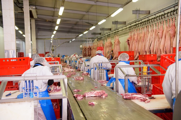 workers of pork meat manufacturing a butcher shop filled with lots of meat